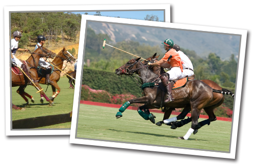 Photos of people playing polo